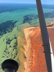 Aerial view of colourful coastline and sea grass.